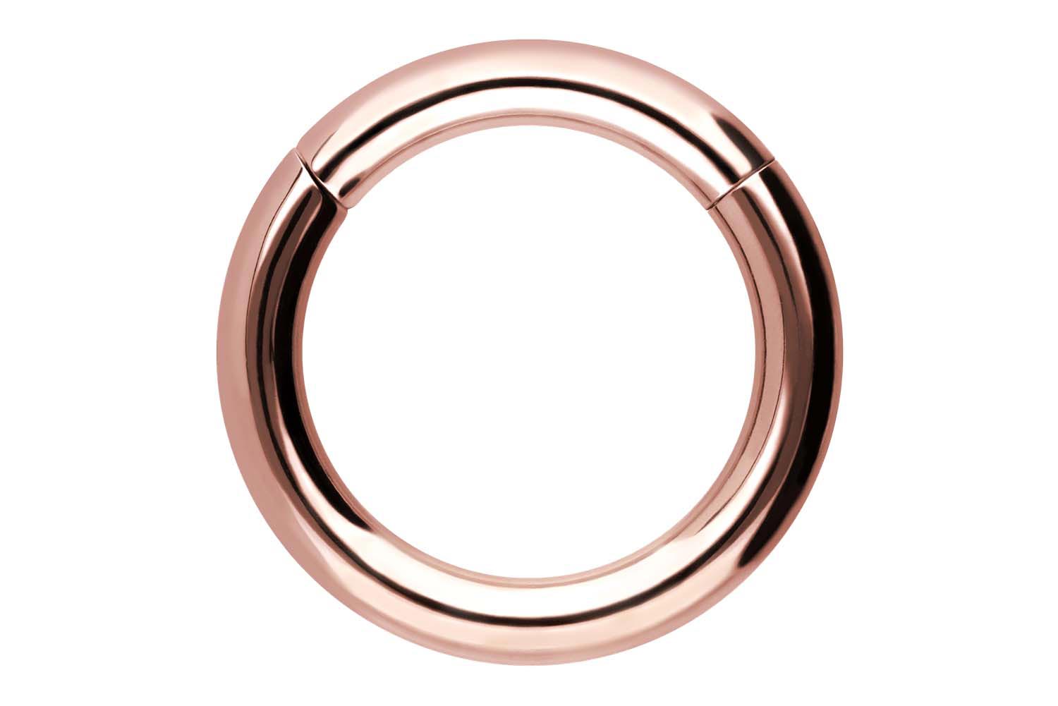 Chirurgenstahl Segmentring Clicker Piercing